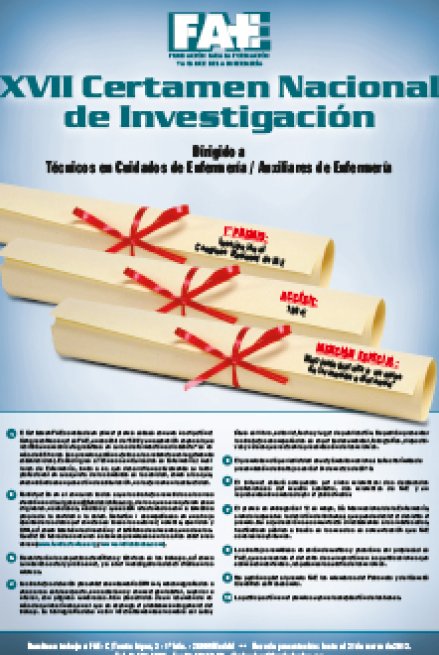 XVII Certamen de Investigación de FAE (2013)